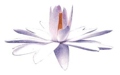 Advanced Massage Works logo - A symbol of healing, relaxation, and wellness.